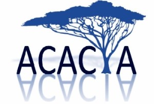 Acacia small